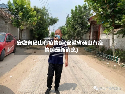 安徽省砀山有疫情嘛(安徽省砀山有疫情嘛最新消息)-第1张图片