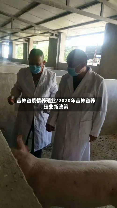 吉林省疫情养殖业/2020年吉林省养殖业新政策-第1张图片