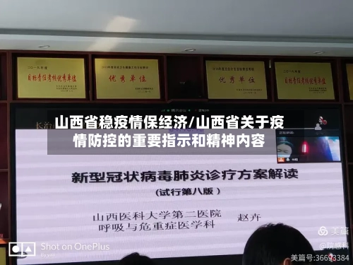 山西省稳疫情保经济/山西省关于疫情防控的重要指示和精神内容-第2张图片