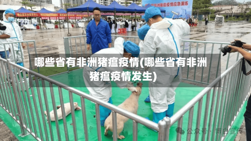 哪些省有非洲猪瘟疫情(哪些省有非洲猪瘟疫情发生)-第1张图片