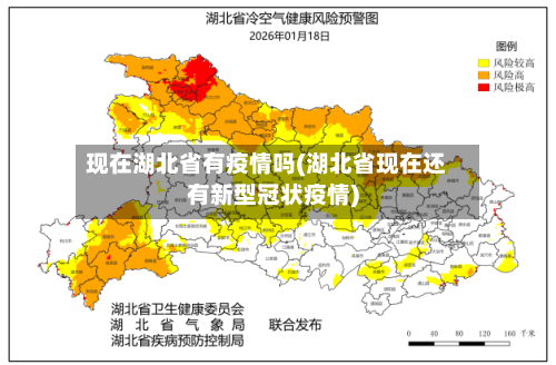 现在湖北省有疫情吗(湖北省现在还有新型冠状疫情)-第3张图片