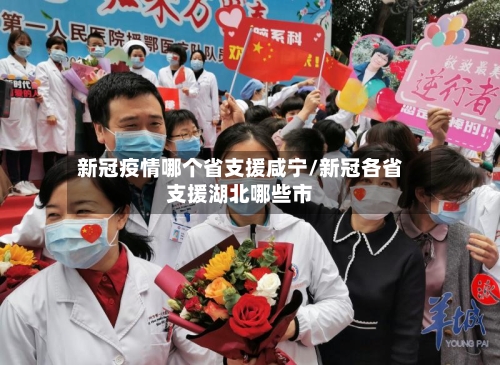 新冠疫情哪个省支援咸宁/新冠各省支援湖北哪些市-第1张图片
