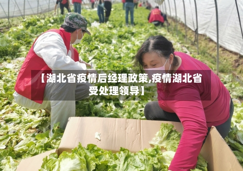 【湖北省疫情后经理政策,疫情湖北省受处理领导】-第2张图片
