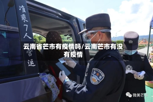 云南省芒市有疫情吗/云南芒市有没有疫情-第3张图片