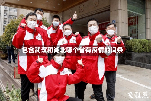 包含武汉和湖北哪个省有疫情的词条-第1张图片