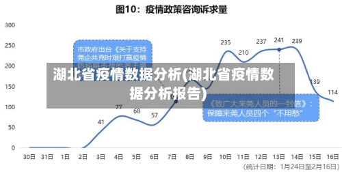 湖北省疫情数据分析(湖北省疫情数据分析报告)-第2张图片