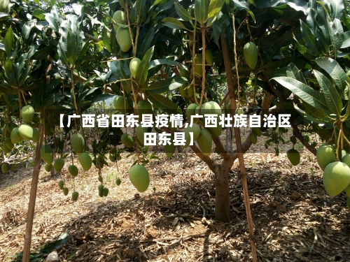【广西省田东县疫情,广西壮族自治区田东县】-第1张图片