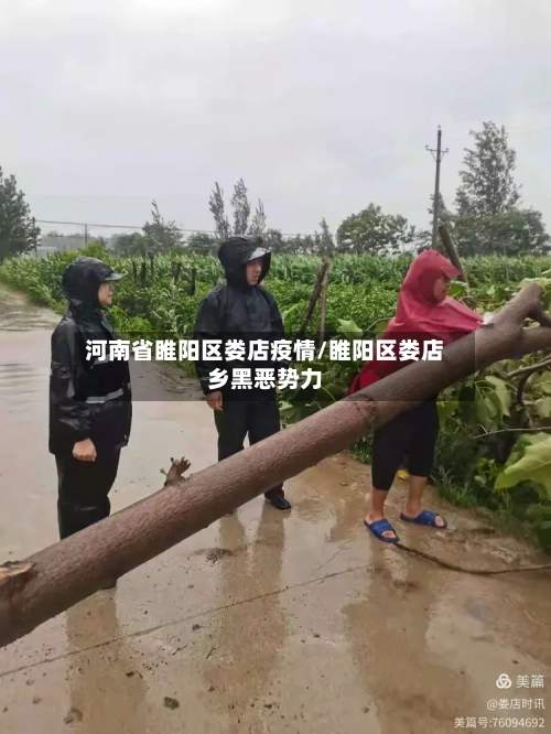 河南省睢阳区娄店疫情/睢阳区娄店乡黑恶势力-第3张图片