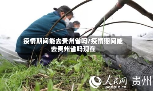 疫情期间能去贵州省吗/疫情期间能去贵州省吗现在-第2张图片