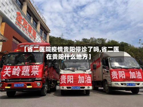 【省二医院疫情贵阳停诊了吗,省二医在贵阳什么地方】-第2张图片