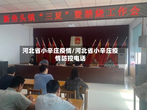 河北省小辛庄疫情/河北省小辛庄疫情防控电话-第1张图片