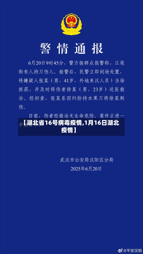 【湖北省16号病毒疫情,1月16日湖北疫情】-第1张图片