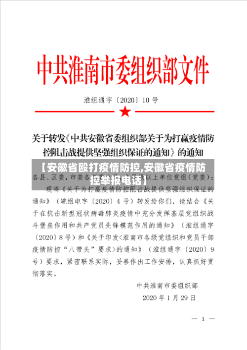 【安徽省殴打疫情防控,安徽省疫情防控举报电话】-第2张图片