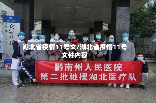 湖北省疫情11号文/湖北省疫情11号文件内容-第1张图片