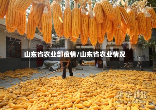 山东省农业部疫情/山东省农业情况-第1张图片