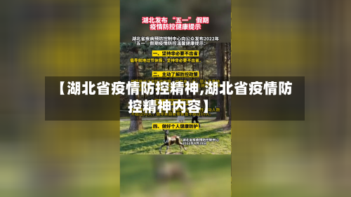 【湖北省疫情防控精神,湖北省疫情防控精神内容】-第1张图片