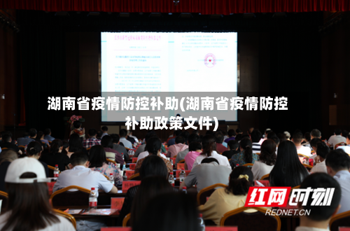 湖南省疫情防控补助(湖南省疫情防控补助政策文件)-第3张图片
