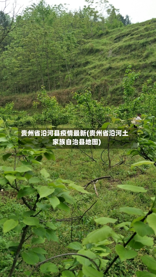 贵州省沿河县疫情最新(贵州省沿河土家族自治县地图)-第1张图片