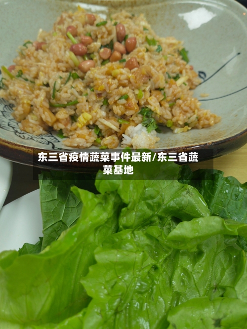 东三省疫情蔬菜事件最新/东三省蔬菜基地-第2张图片