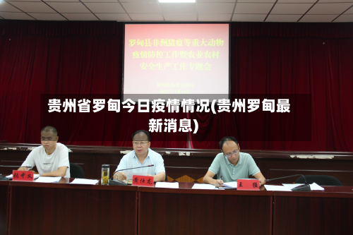 贵州省罗甸今日疫情情况(贵州罗甸最新消息)-第3张图片