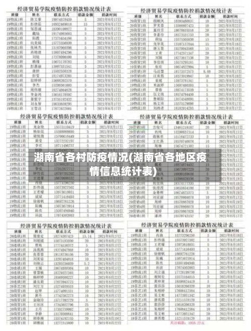 湖南省各村防疫情况(湖南省各地区疫情信息统计表)-第2张图片
