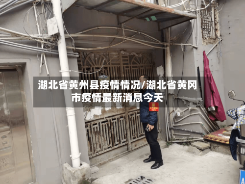 湖北省黄州县疫情情况/湖北省黄冈市疫情最新消息今天-第2张图片