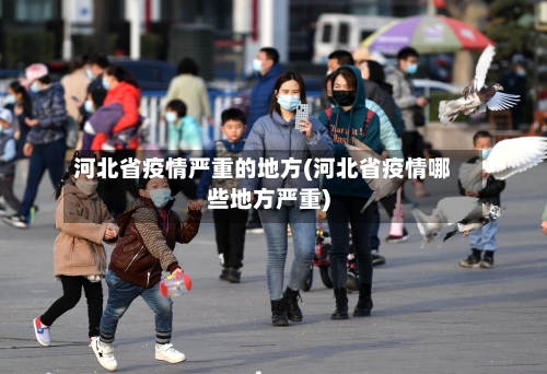 河北省疫情严重的地方(河北省疫情哪些地方严重)-第2张图片