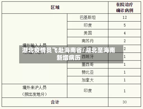 湖北疫情员飞赴海南省/湖北至海南新增病历-第1张图片