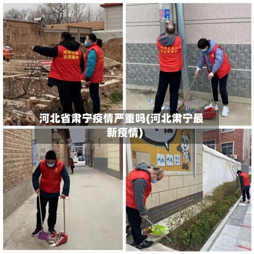 河北省肃宁疫情严重吗(河北肃宁最新疫情)-第1张图片