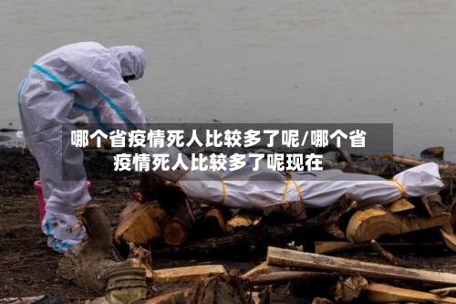 哪个省疫情死人比较多了呢/哪个省疫情死人比较多了呢现在-第2张图片