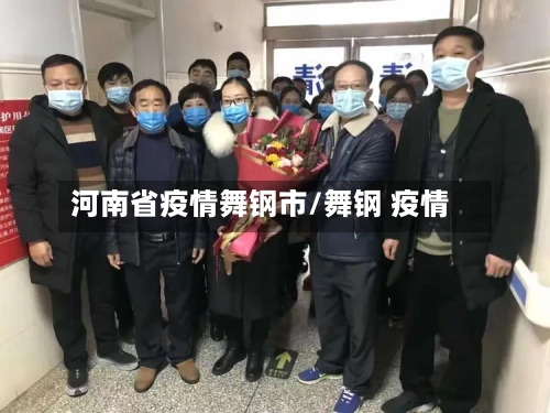 河南省疫情舞钢市/舞钢 疫情-第2张图片
