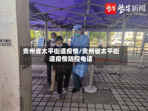 贵州省太平街道疫情/贵州省太平街道疫情防控电话-第3张图片