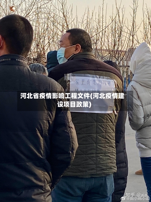 河北省疫情影响工程文件(河北疫情建设项目政策)-第2张图片