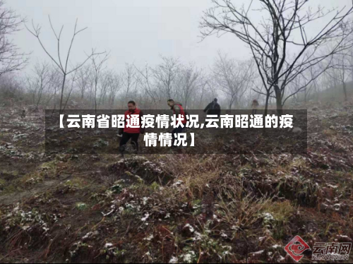 【云南省昭通疫情状况,云南昭通的疫情情况】-第1张图片