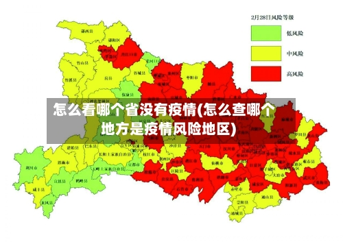 怎么看哪个省没有疫情(怎么查哪个地方是疫情风险地区)-第3张图片
