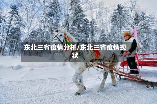 东北三省疫情分析/东北三省疫情现状-第3张图片