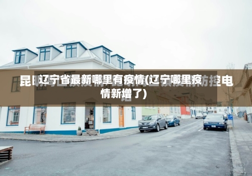 辽宁省最新哪里有疫情(辽宁哪里疫情新增了)-第2张图片