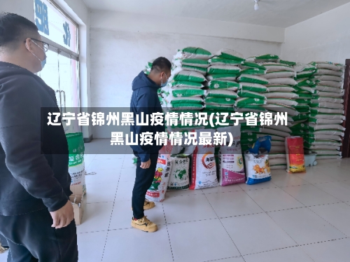 辽宁省锦州黑山疫情情况(辽宁省锦州黑山疫情情况最新)-第2张图片