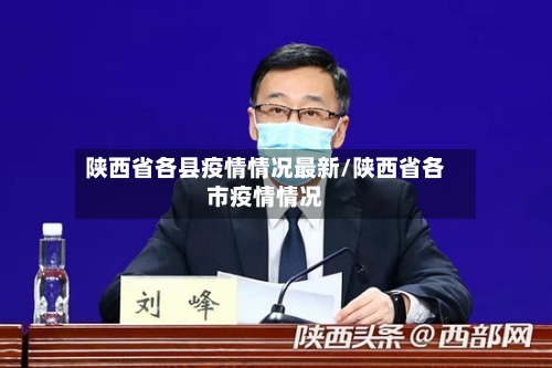 陕西省各县疫情情况最新/陕西省各市疫情情况-第2张图片