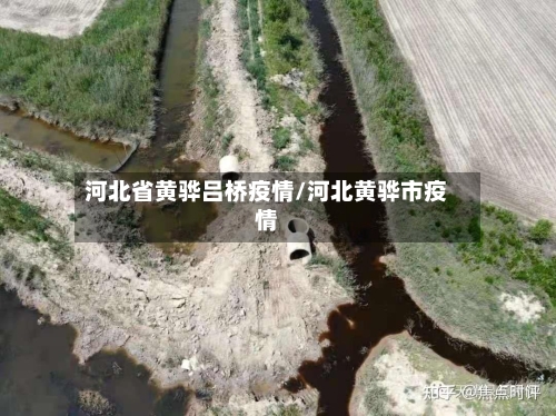 河北省黄骅吕桥疫情/河北黄骅市疫情-第1张图片