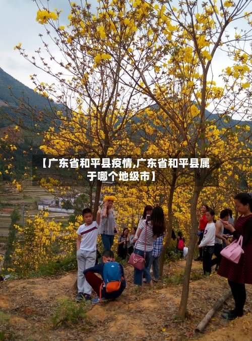 【广东省和平县疫情,广东省和平县属于哪个地级市】-第1张图片