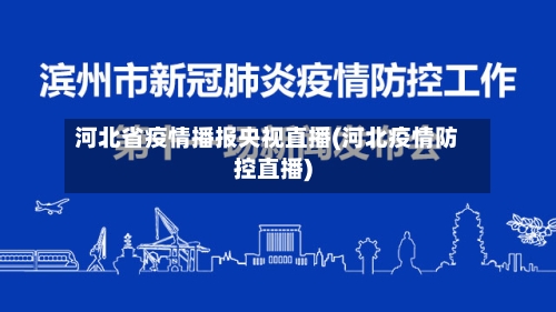 河北省疫情播报央视直播(河北疫情防控直播)-第3张图片