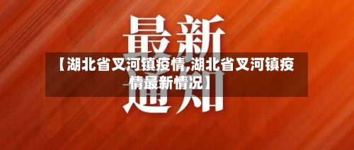 【湖北省叉河镇疫情,湖北省叉河镇疫情最新情况】-第3张图片