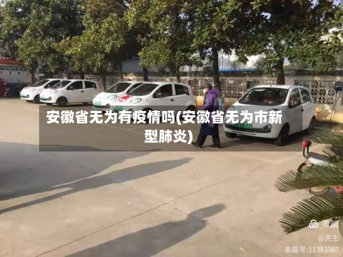 安徽省无为有疫情吗(安徽省无为市新型肺炎)-第3张图片