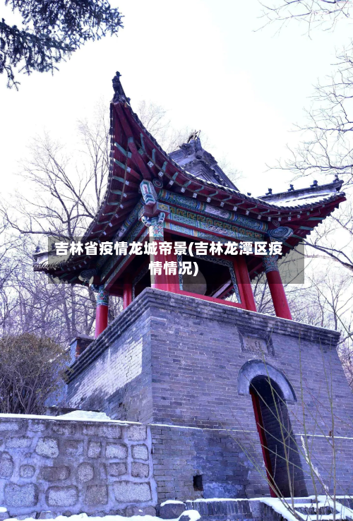 吉林省疫情龙城帝景(吉林龙潭区疫情情况)-第3张图片