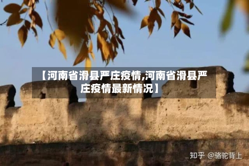 【河南省滑县严庄疫情,河南省滑县严庄疫情最新情况】-第2张图片