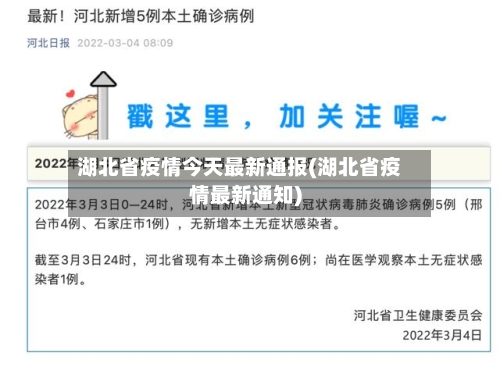 湖北省疫情今天最新通报(湖北省疫情最新通知)-第3张图片