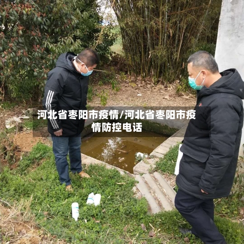 河北省枣阳市疫情/河北省枣阳市疫情防控电话-第1张图片