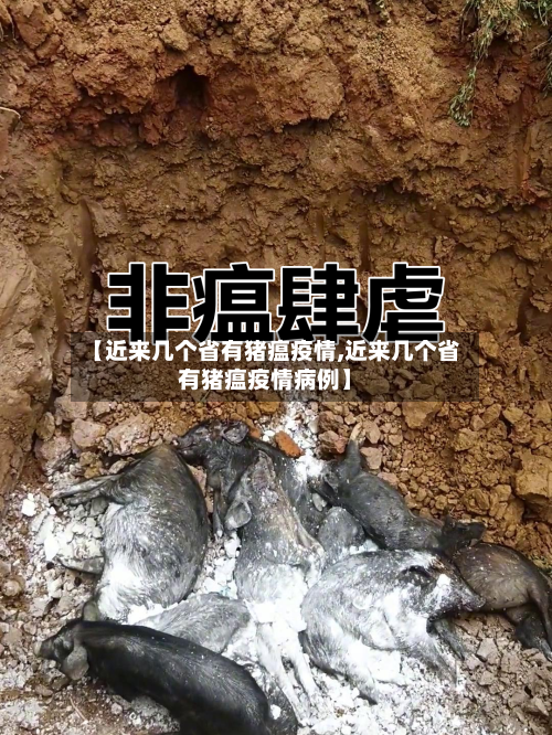 【近来几个省有猪瘟疫情,近来几个省有猪瘟疫情病例】-第2张图片