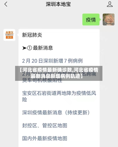 【河北省疫情最新确诊数,河北省疫情最新消息新增病例轨迹】-第2张图片